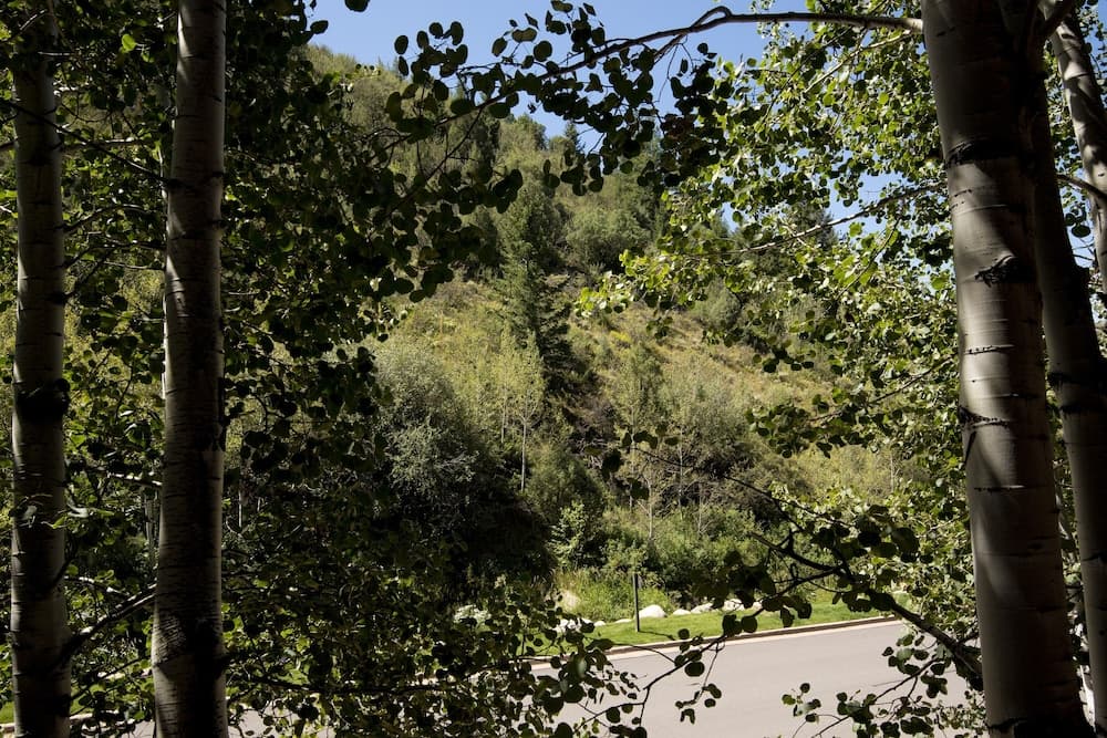 View from property