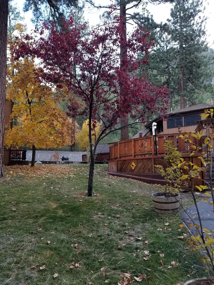 BBQ/picnic area