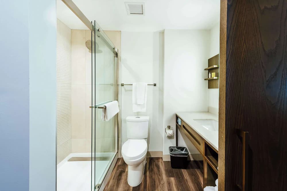 Bathroom shower