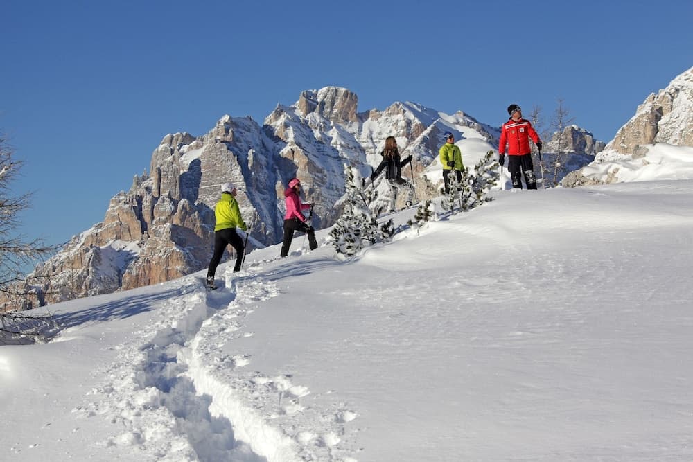 Snowshoeing