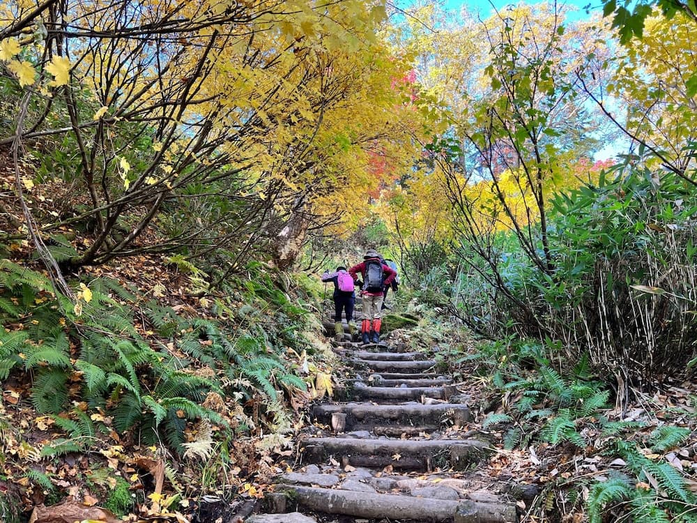 Hiking