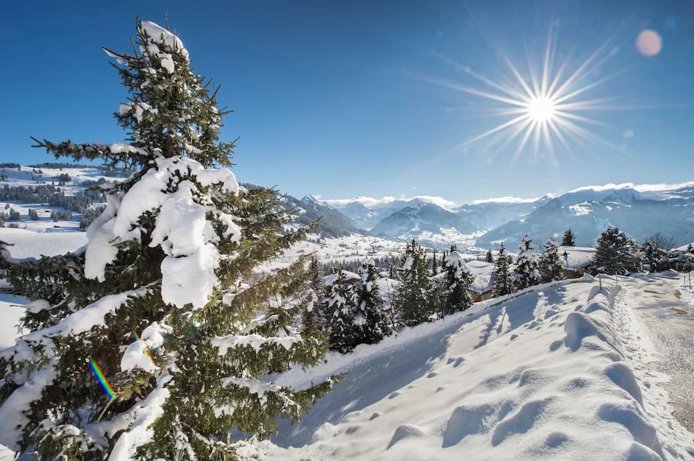 Snowshoeing