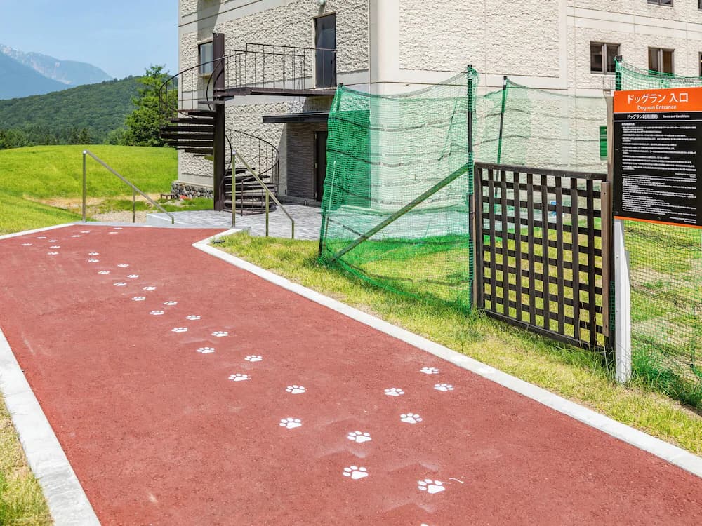 Pet-friendly amenities