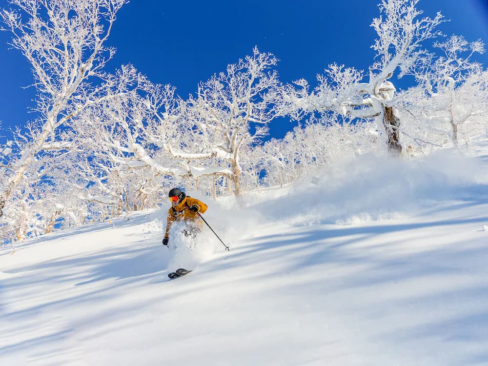 Skiing