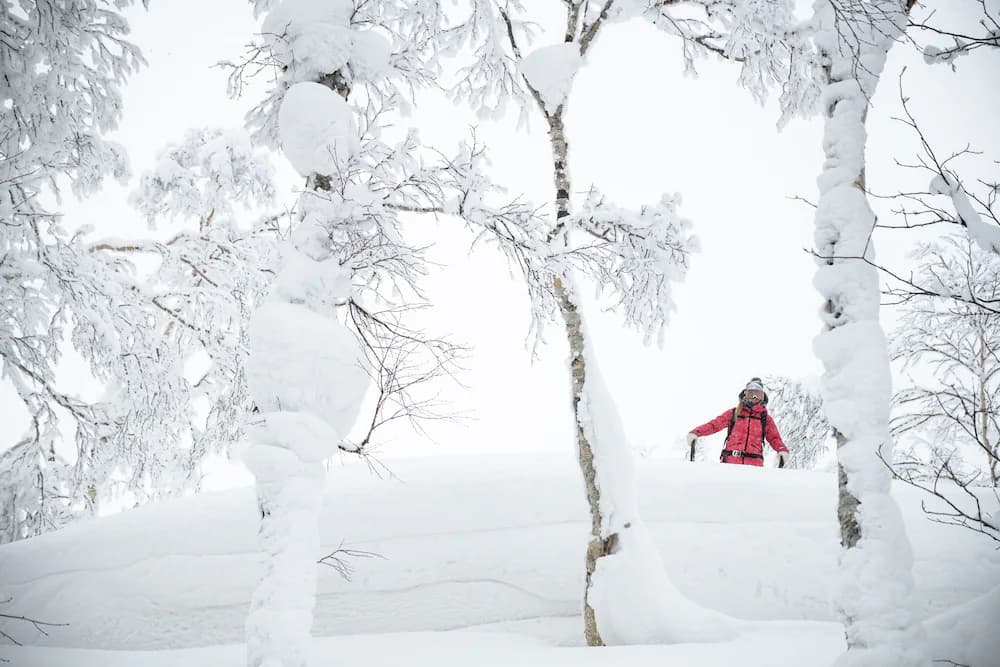 Snow and ski sports