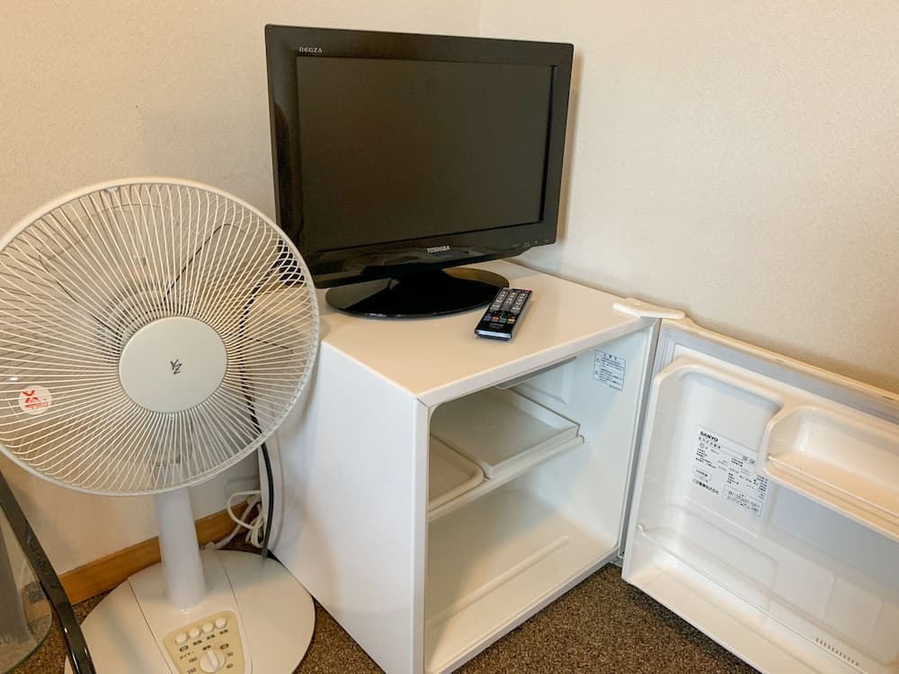 Television