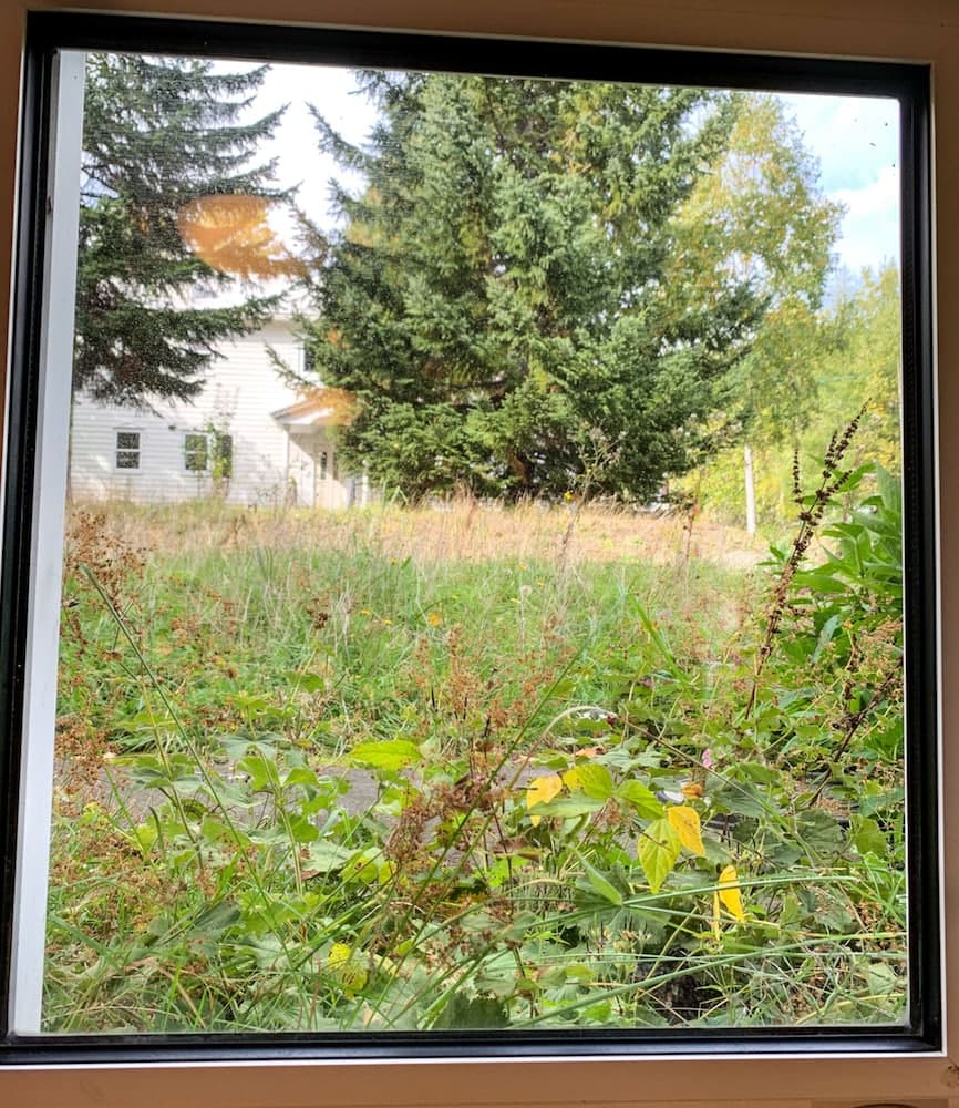 Garden view