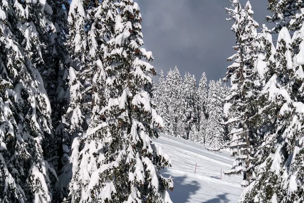 Ski hill