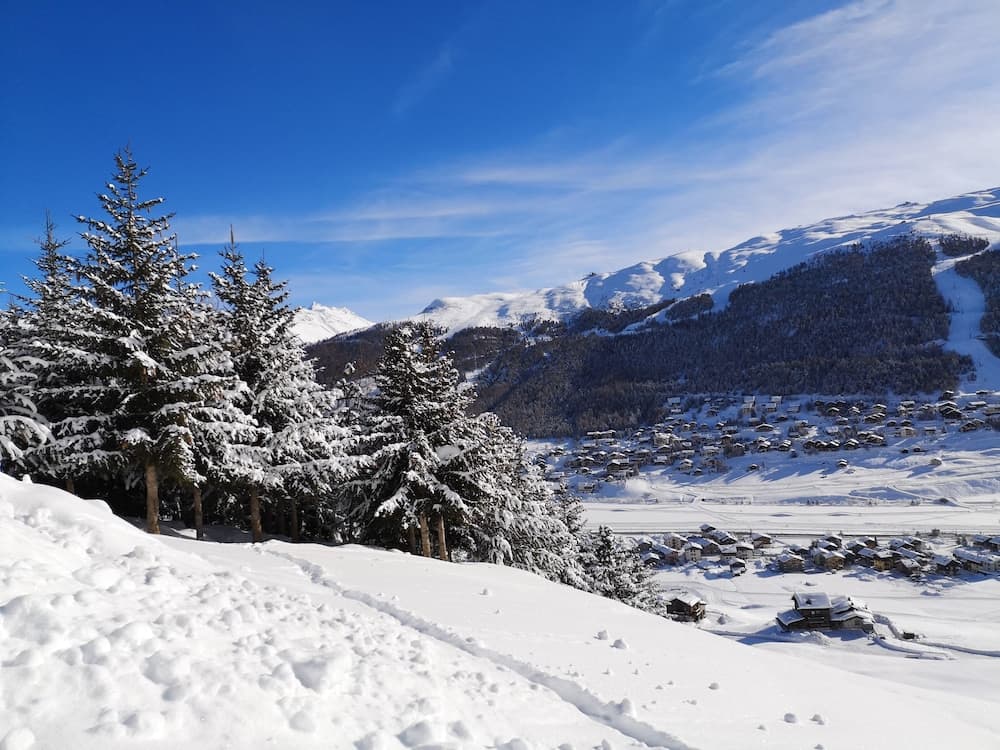 Snowshoeing
