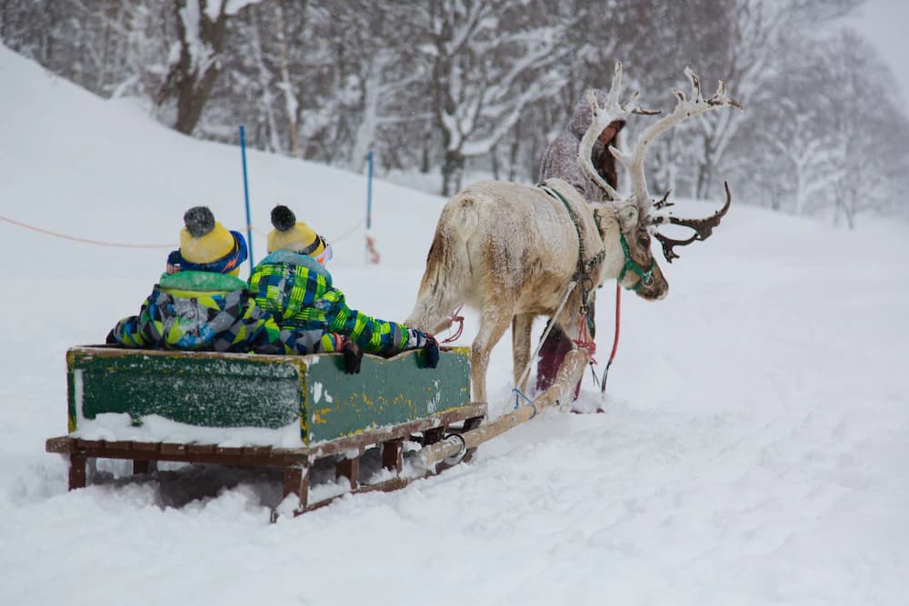Snow and ski sports