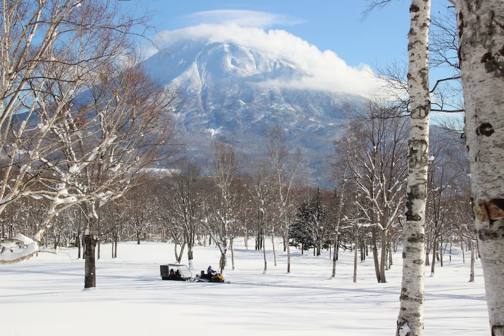 Sledding