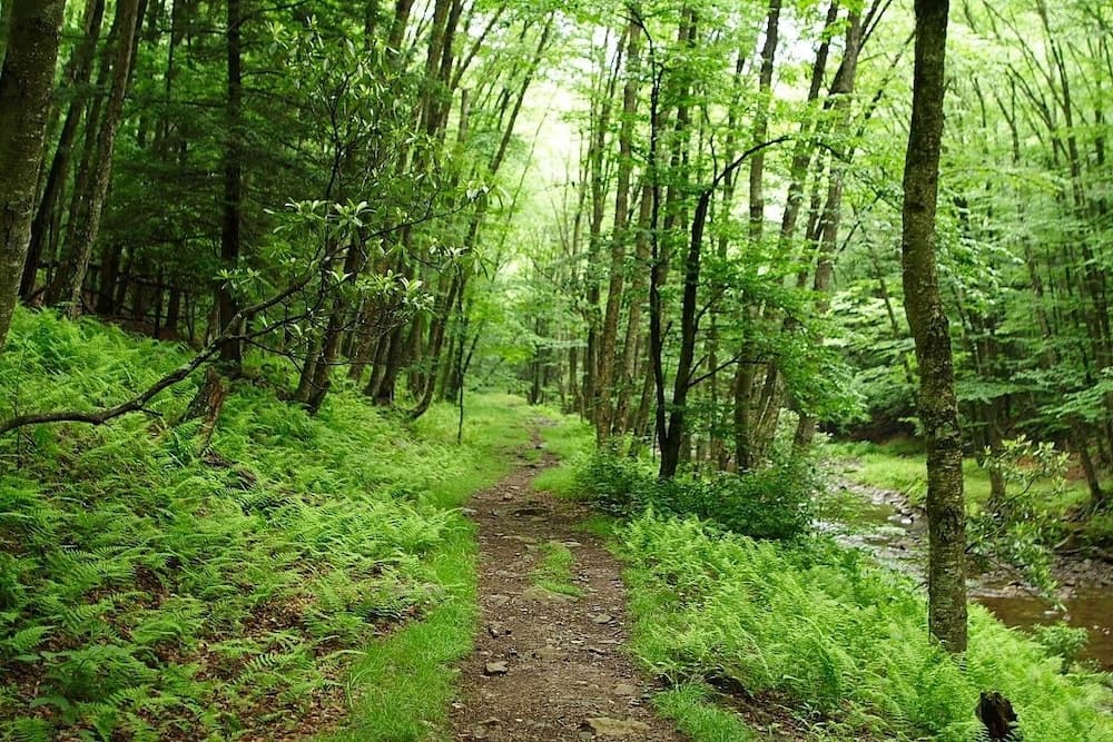 Hiking