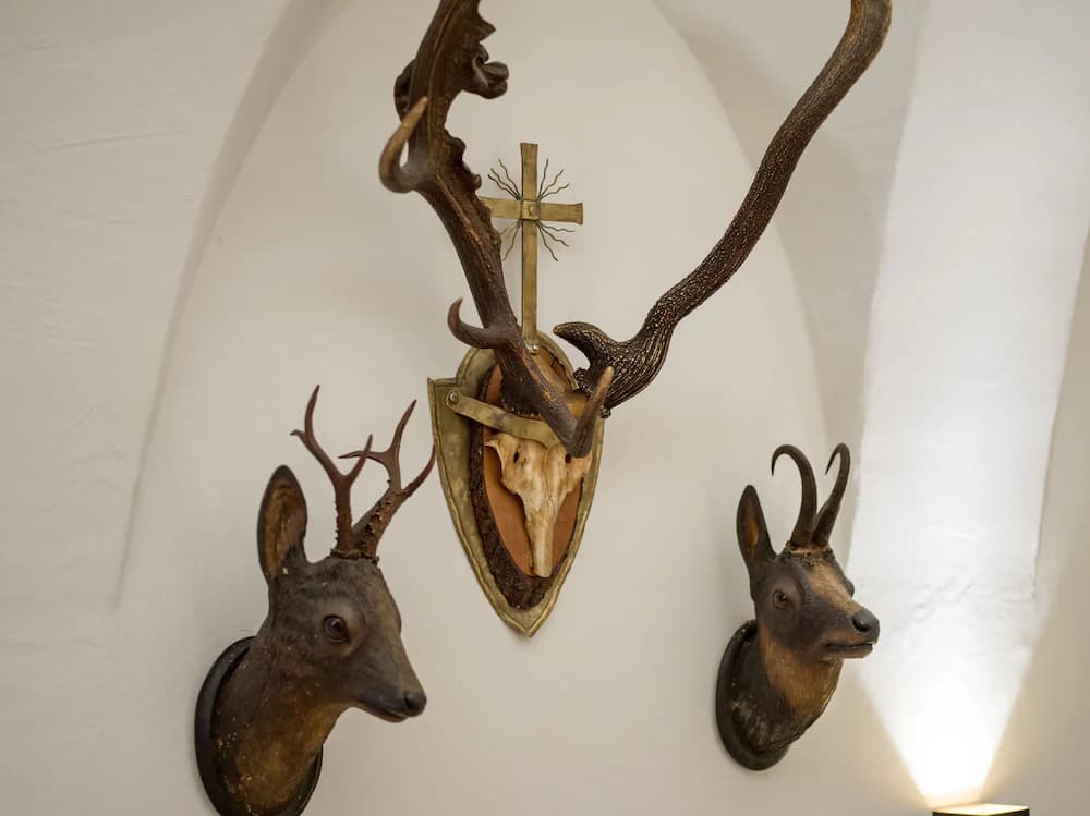 Interior detail