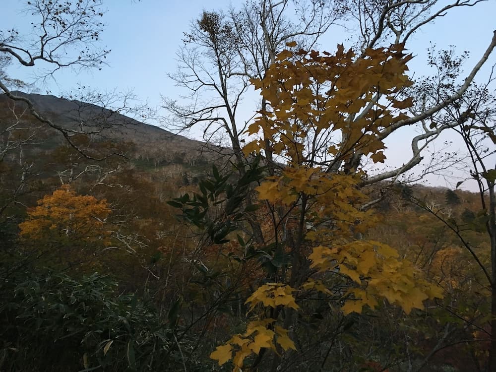 Hiking