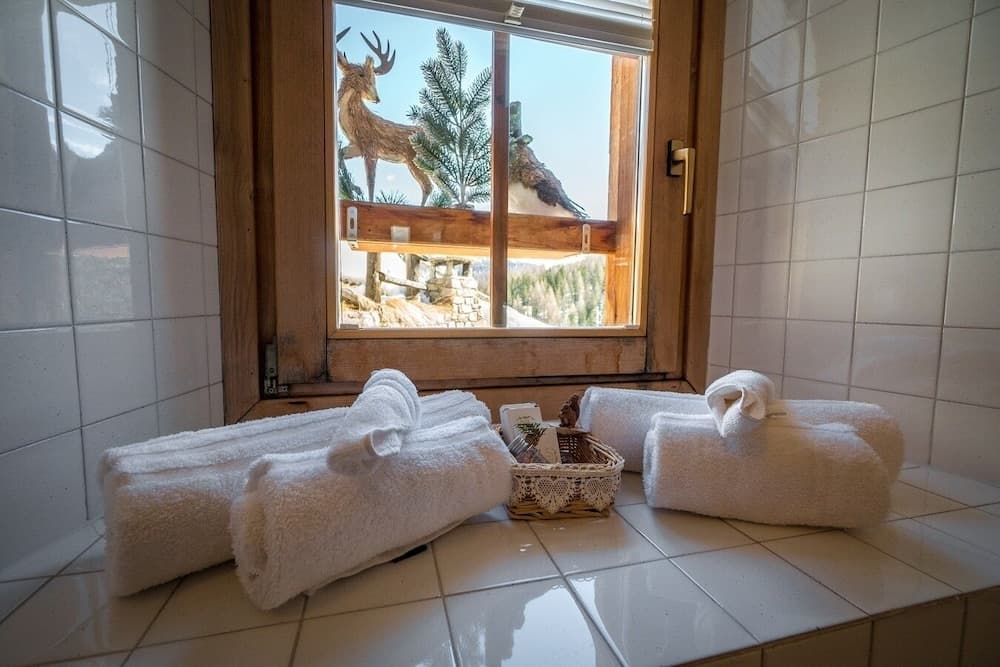 Bathroom amenities