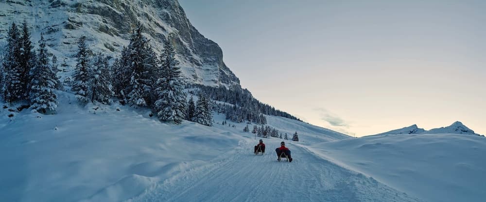 Sledding