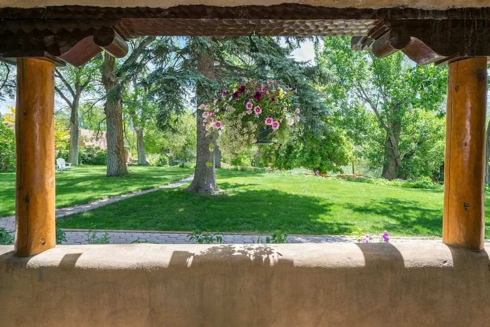 Garden view