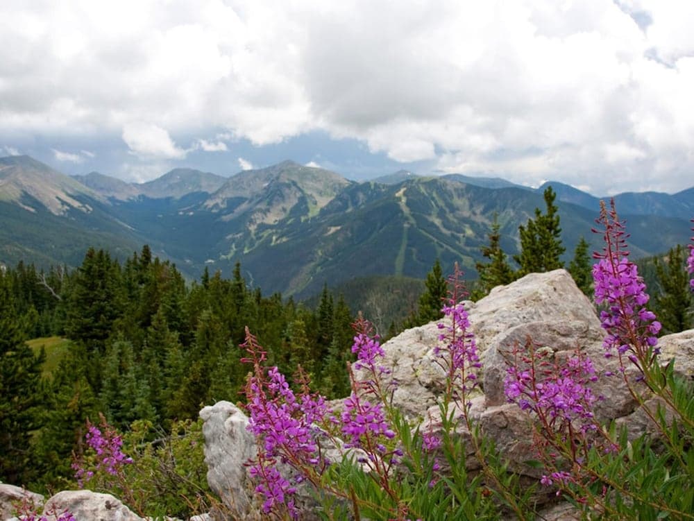 Hiking
