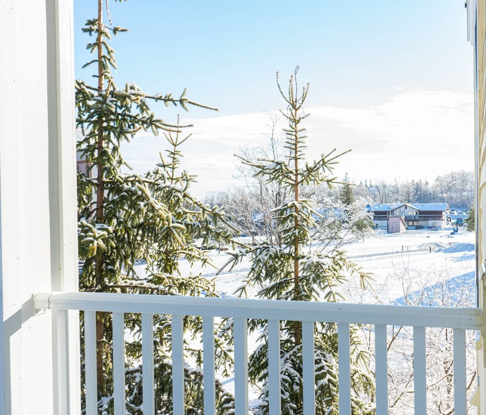 Balcony view