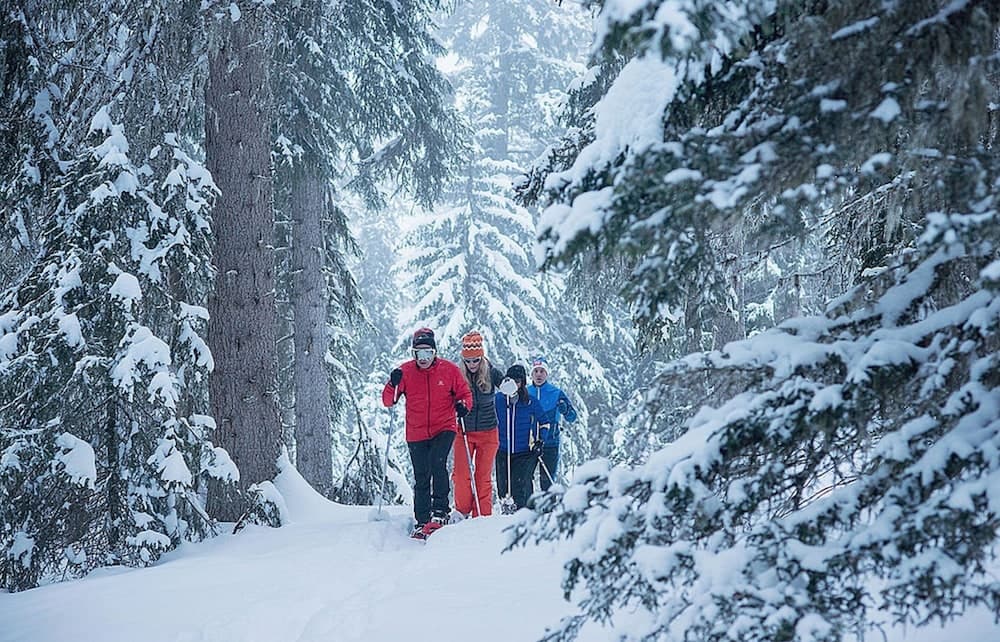 Snowshoeing