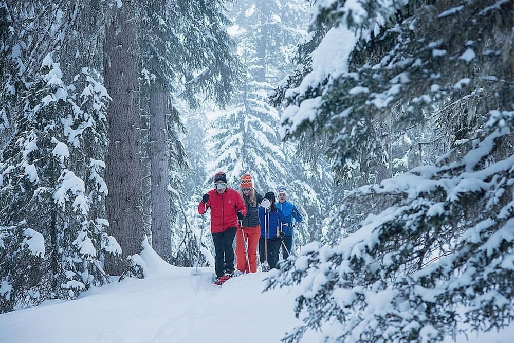 Snowshoeing