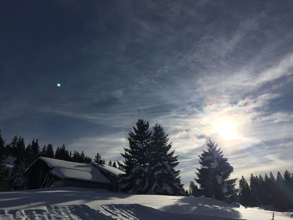 Skiing