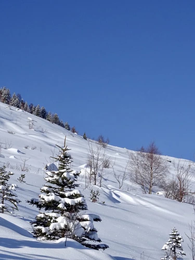 Snowshoeing
