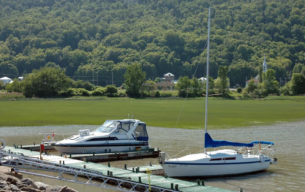 Marina