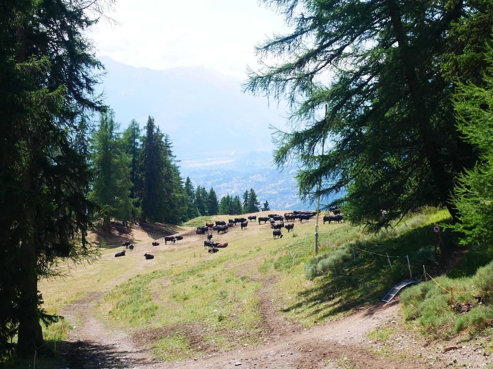 View from property