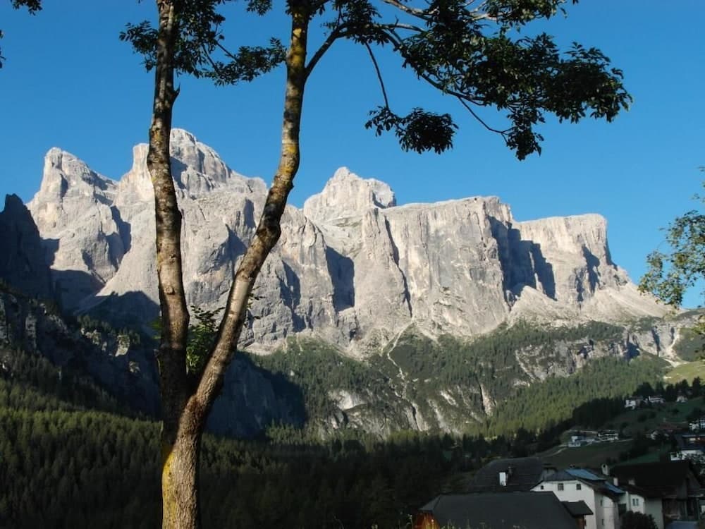Land view from property