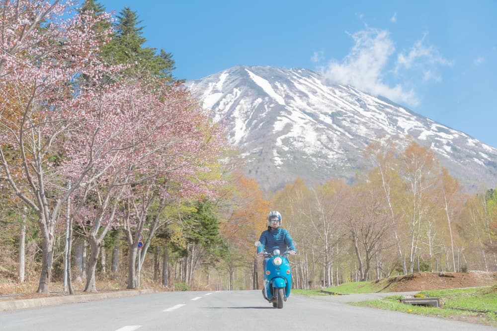 Scooter/moped