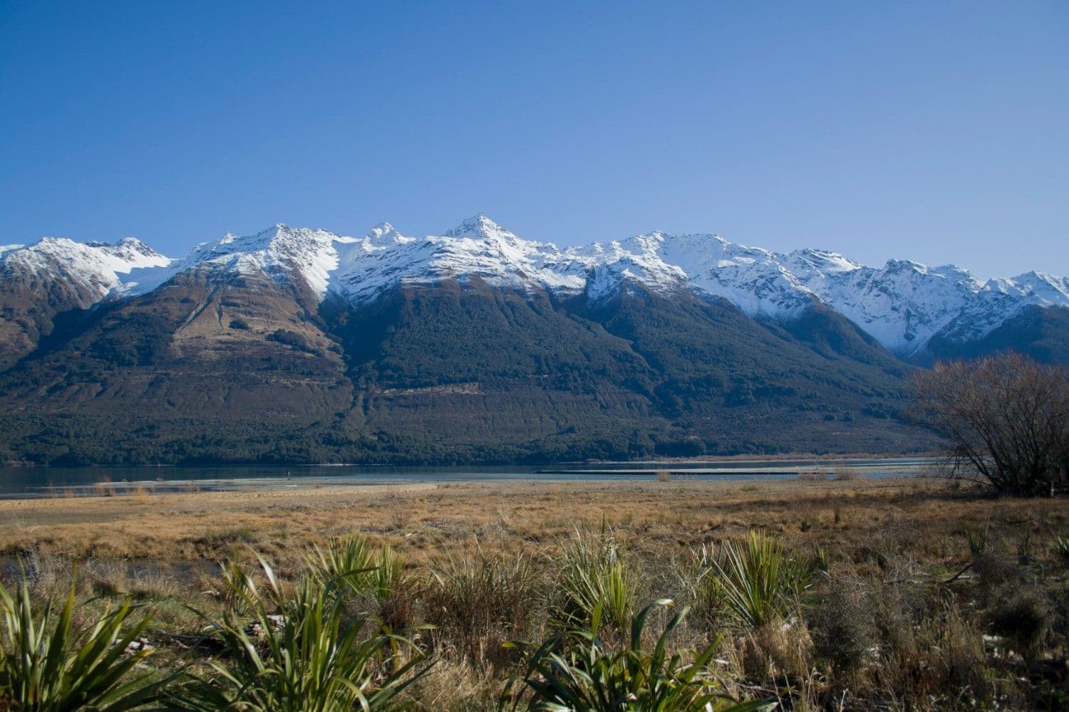 4 Best Ski Resorts in Queenstown, 2024/25