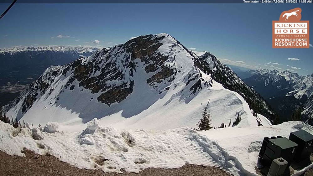 Kicking Horse - Terminator