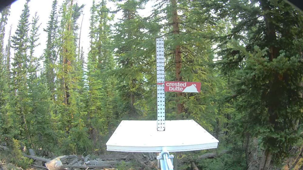 Official Snow Stake