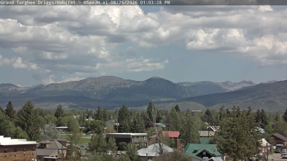 Grand Targhee Resort - Habitat / Colter