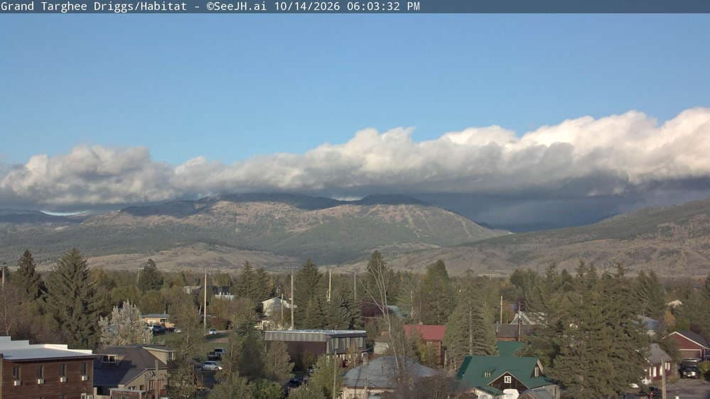 Grand Targhee Resort - Habitat / Colter