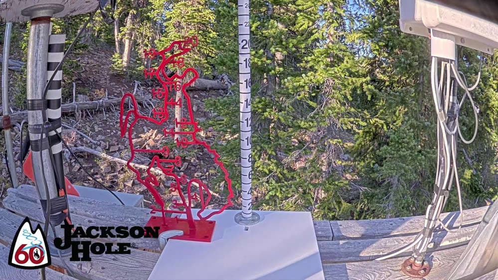 Raymer Snow Stake 