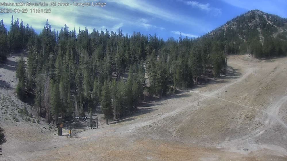 Chair 8 Bottom