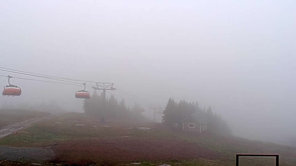 Okemo - Summit snapshot