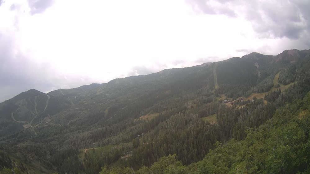 Lookout Cabin Camera