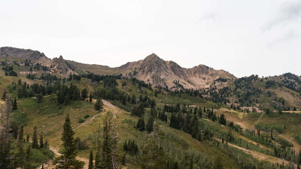Mt. Ogden