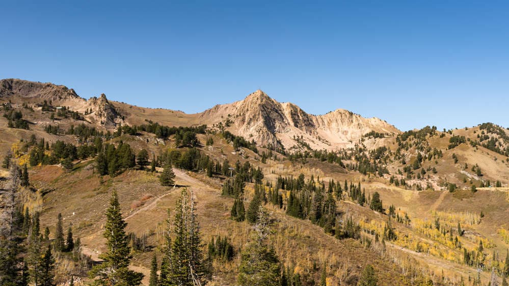 Mt. Ogden