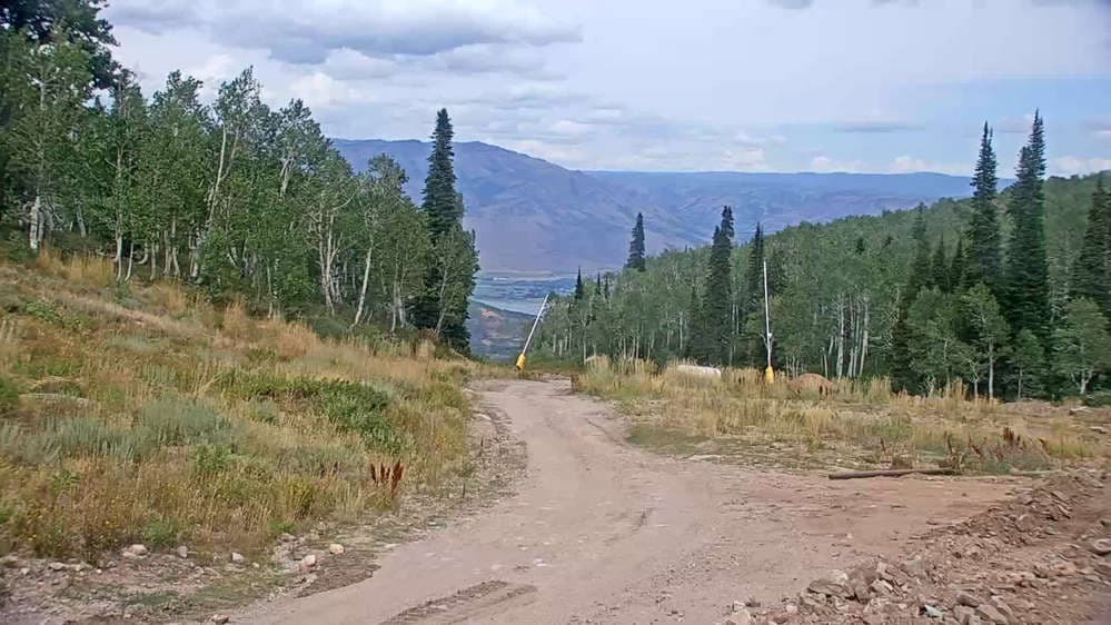 Middle Bowl Base