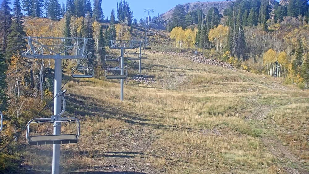 Middle Bowl Base