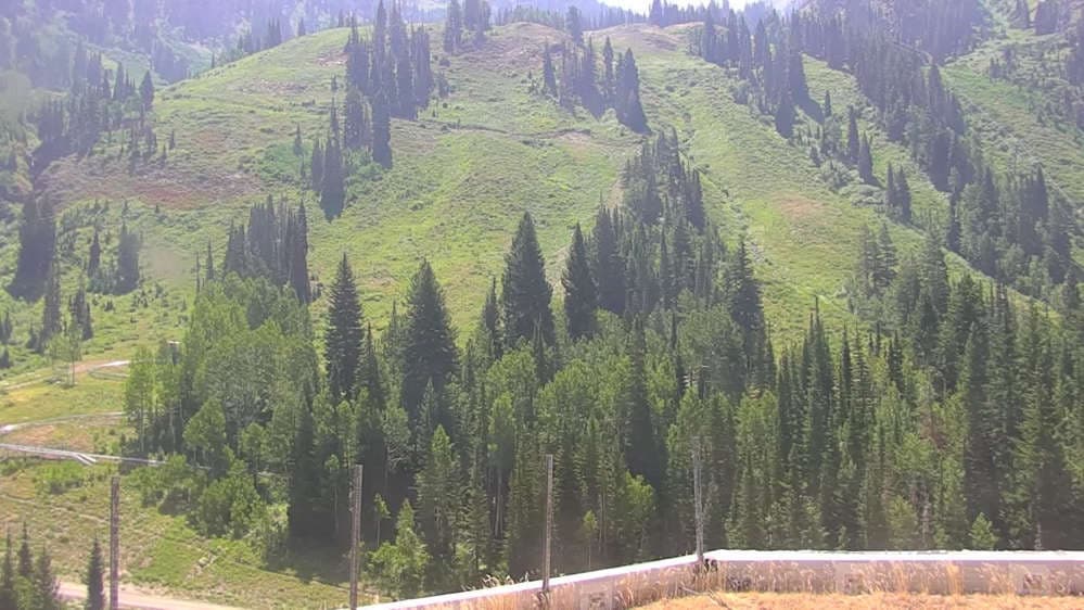 Snowbird - Peruvian Gulch