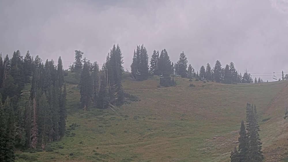 Solitude: Sunshine Bowl Cam