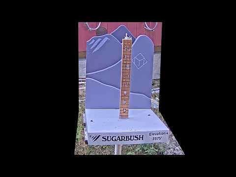 Summit Snow Stake