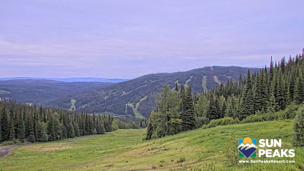 Elevation