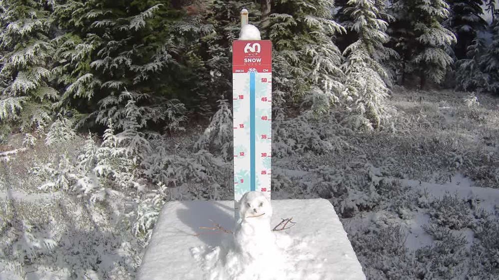 Whistler Snow Stake
