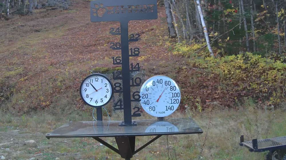 Wildcat Snowstake